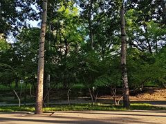 -元大都城垣遗址公园