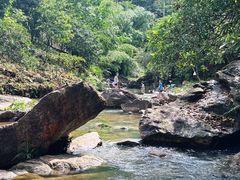 -广州白江湖森林公园