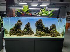 -ADA自然水景世界