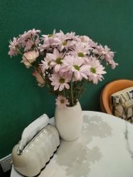 -御品•瑶浴灸疗SPA