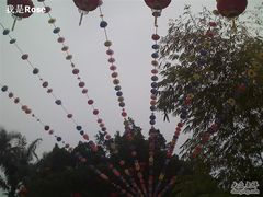 -金砂公园