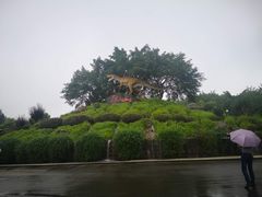 -自贡恐龙博物馆