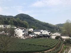 -龙井村