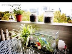 android_upload_pic-董小姐咖妃·咖啡·简餐.意面(松江大学城店)