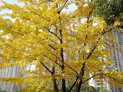 -苏州河梦清园环保主题公园