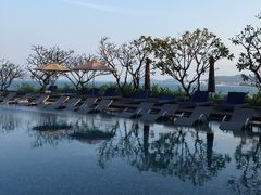 -芽庄喜来登水疗酒店
