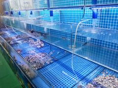 -前王院•巧克力海鲜市集餐厅(万平口店)