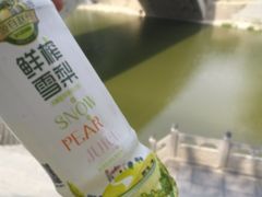 -赵州桥景区