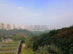 -重庆彩云湖湿地公园