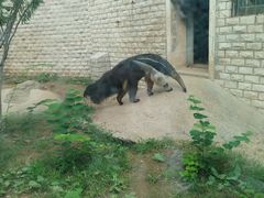 -石家庄市动物园