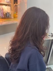 -东方麒麟·潘多拉SALON