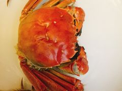 -南湖胖子砂锅(南湖店)