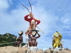-西霞口神雕山野生动物世界