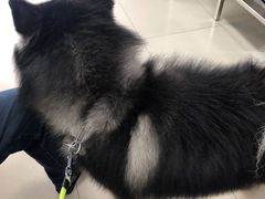 -申普宠物医院·眼科·心内科·影像科(普陀分院)