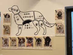 -有喵·猫咖·狗咖·40+猫狗有小奶狗(岗厦店)