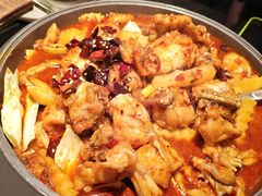 -师烤·豆花烤鱼(广州荔湾扬韬广场店)