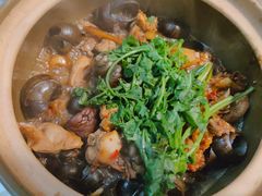 -食爺炭炉鸡煲·烧烤
