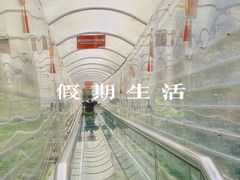 -南丹山森林王国