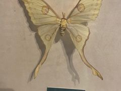 -陕西自然博物馆