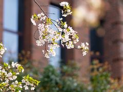 -浙江大学(海宁国际校区)