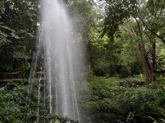 -绿光森林餐厅
