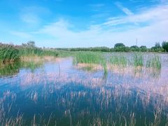 景点-野鸭湖国家湿地公园
