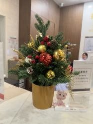 -上海玫瑰医疗美容医院