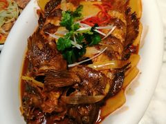 -青雅中餐厅(大连金石滩绿发希尔顿度假酒店)