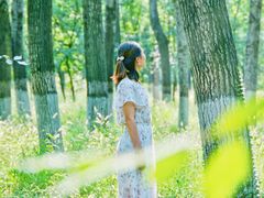 -顺鑫绿色度假村