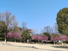 -东山公园