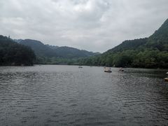 -黔灵山公园
