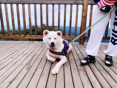 -白草畔自然风景区