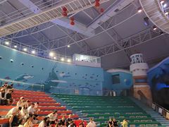 -烟台海昌鲸鲨海洋公园