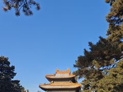 -北陵公园