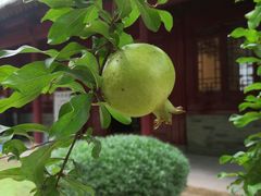 -罔极寺