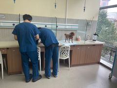 -爱派特动物医院·全科诊疗中心