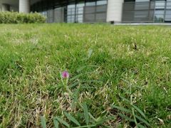 -江南大学(蠡湖校区)