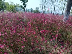 -汉长安城未央宫国家考古遗址公园