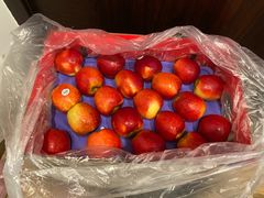 -上海龙吴水胜海发市场