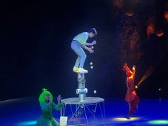 -重庆国际马戏城