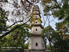 -江心屿景区