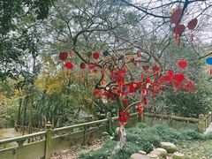 -宁波市保国寺古建筑博物馆