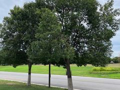 -汉长安城未央宫国家考古遗址公园