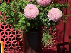 -杭州君悦酒店·湖滨28中餐厅