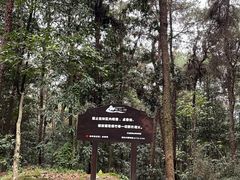 -铁山坪森林公园