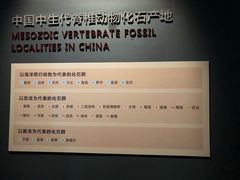 -贝林大翅鲸简餐厅(国家海洋博物馆店)