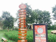 -秀丽东方