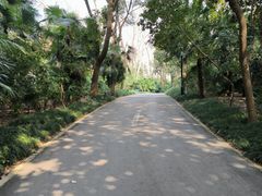 -春兰国宾馆(凤城河风景区老街店)