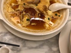 -上海圣淘沙万怡酒店