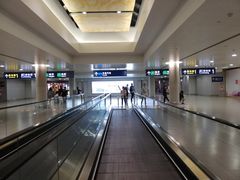 -上海浦东国际机场-T2航站楼